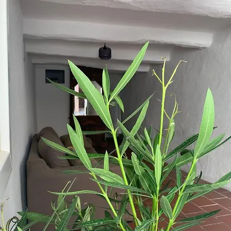 Holiday home Maison De 3 Avec Terrasse Et Wifi A A 3 Km De La Plage *